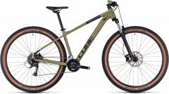 Aim-Race-Olive-2023
