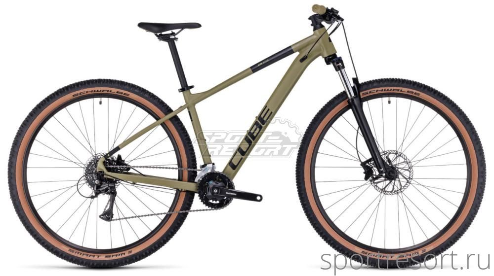 aimrace2024olive
