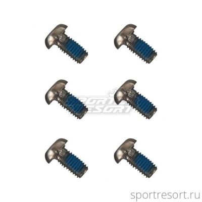 Набор болтов ELVEDES Rotor Bolts Titanium (6 штук)