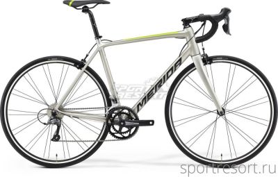 Merida Scultura Rim 100 28" (700С) silktitan/black/green 2021 56 см (L) 06492